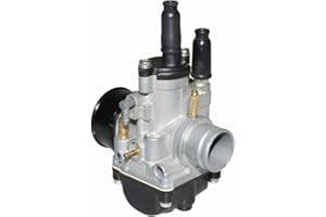 Dell'Orto - Carburatore Dellorto Phbg 21 DS (Montaggio Flessibile – con lubrificazione – con depressione – Starter a Cable) (RIF. 2632 m)