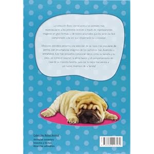 Mascotas adorables (Reino Animal)