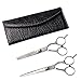 EZI 6 Inch Pro Barber Hair Cutting Thinning Scissors Shears Hairdressing Set