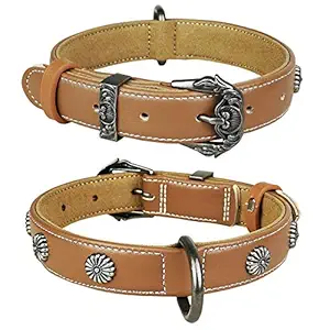 Joyeeiioo Leather Dog Collar, Padded Soft and Strong Leather Collar Unique Fashion Alloy Hardware Best for Small, Medium, Large Dogs