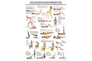 RDIGER- ANATOMIE GMBH Ruediger Anatomie MIPO40 Beckenbodengymnastik Tafel, 24 cm x 34 cm, Papier