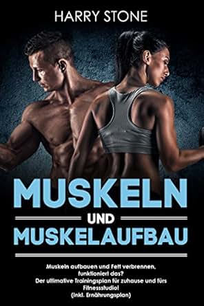 Muskeln Und Muskelaufbau Muskeln Aufbauen Und Fett Verbrennen