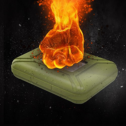 ORICO Festplattentasche Schutztasche Schutzbox (3.5″, Grün) – Aufbewahrungstasche für 3,5 Zoll Festplatten Western Digital WD Seagate Toshiba Samsung Intenso - 2