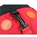 Smallwise Trading Toddler Safety Backpack with Harnesses Strap --- Great for Baby Walker Reins --- Lovely Ladybird Design