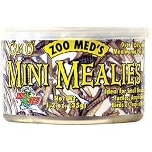 Auf Buffalo in Konservendose (Can O 'Mini Mealies)–ZOOMED