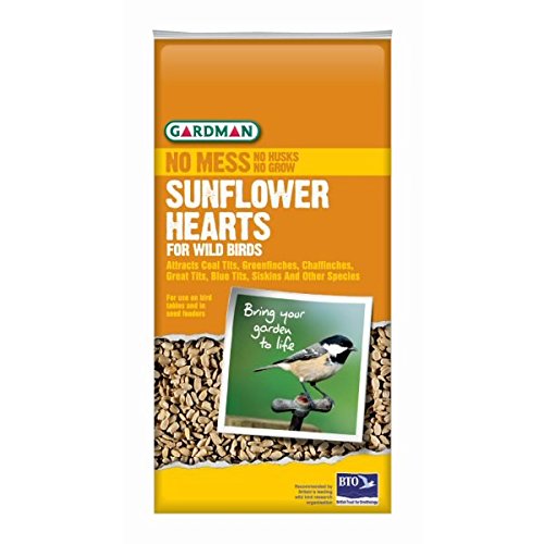 Gardman Geschälte Sonnenblumenkerne, 1er Pack (1 x 4 kg)