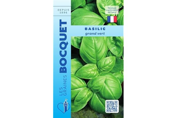 Sachet de graines de Basilic Grand Vert - 1 g - légume feuille - LES GRAINES BOCQUET