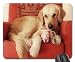 Produktbild Time out Mouse Pad, Mousepad (Dogs Mouse Pad)