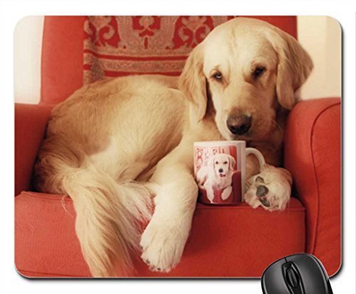 Preisvergleich Produktbild Time out Mouse Pad, Mousepad (Dogs Mouse Pad)