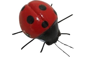 ERRO Mini calamita con coccinella – portafortuna, coccinella, calamita per insetti