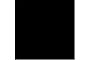 Lee Filters Big Stopper Graufilter-Scheibe (ND-Filter, Neutraldichtefilter) für SW150-System - 1000x / ND 3,0 / +10 Blenden