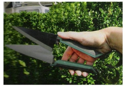Profigarden 255765 Buchsbaumschere Schafschere Gartenschere - 2