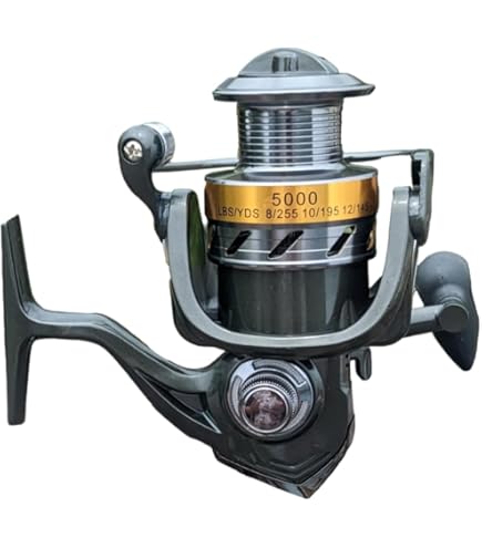 Daiwa Sweepfire 2000 2BB 5.3:1 Spin Reel : Amazon.in: Sports