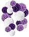 Produktbild Recosis 18 Stück Seidenpapier Pompoms Blumen Ball Dekorpapier Kit für Geburtstag Hochzeit Baby Dusche Parteien Hauptdekorationen und Partei Dekoration - Violett , Lavendel und Weiß
