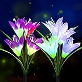 💐【GUT GESTALTENES PAKET & PERFEKTE GESCHENKE】 Das Set enthält 2 Packungen Blumenlicht, das 7 verschiedene Farben ändert, um das gewünschte Ambiente zu jeder Gelegenheit zu fördern, sei es für einen Hinterhof-Event oder nur für den Abschluss Ihres Outdoor-Meisterstücks. Es kommt auch mit einem gut gestalteten Paket, ein perfektes Geschenk für Freunde