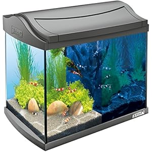[Gesponsert]Tetra AquaArt Discovery Line LED Aquarium-Komplett-Set 20 Liter anthrazit (inklusive LED-Beleuchtung, Tag- und Nachtlichtschaltung, Innenfilter und Aquarienpumpe, ideal für Garnelen)