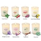 YMing Scented Candles Gift Set, Natural Soy Wax 2.5 Oz Per Cup Portable Glass Candles Women Gift with Strongly Fragrance Essential Oils for Stress Relief and Aromatherapy - 8 Pack