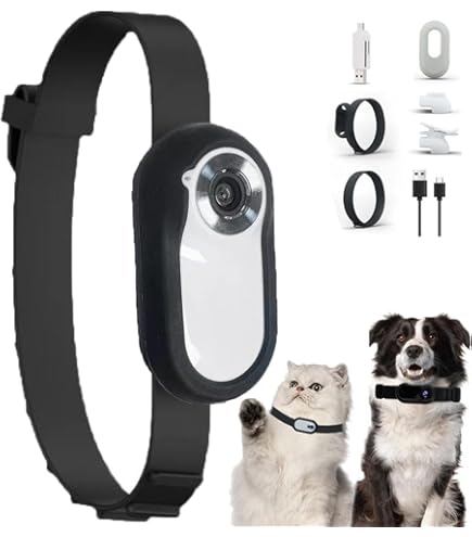 Fotocamera Per Collare Per Gatti | 170° Grandangolare | LCD 0,96'' | Video 30fps | Peso 27g | Con Lettore Di Schede Type-C