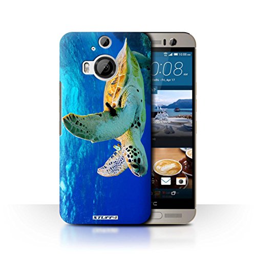 Stuff4 Phone Case/Cover for HTC One M9+/Plus/Turtle Design/Wildlife Animals Collection
