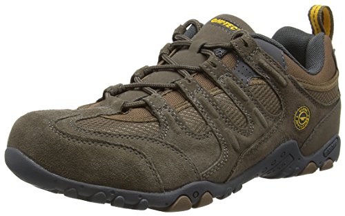 Hi-Tec Quadra Classic, Zapatillas de Senderismo para Hombre, Marrón (Smokey Brown/Taupe/Gold), 41 EU