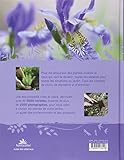 Image de Guide des plantes vivaces