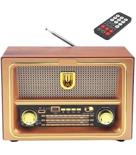 FX-2503B Vintage Style Portable AM/FM/SW3 BAND Radio with Wireless