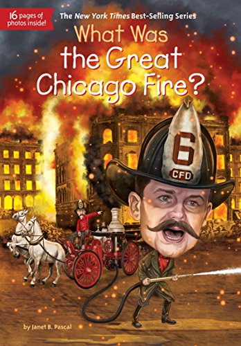 Preisvergleich Produktbild What Was the Great Chicago Fire