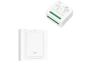 Tedeligo Interruptor inalambrico, Emisor De Radio Móvil Y Emisor De Pared 2 En 1, Mini Receptor Funciona Con Interruptor De Panel De Pared, Para Lámparas De Hasta 220V 3500W(1interruptor 1receptor)