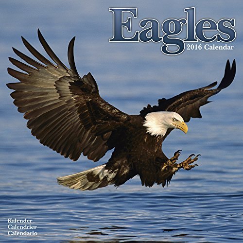 EAGLES 2016 Wall Calendar by Avonside Publishing (2015-07-07)