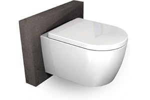 BERNSTEIN Design Wand WC spülrandlos Hänge WC Set Toilette abnehmbaren Deckel WC sitz mit Absenkautomatik Hängetoilette WC ohne Spülrand B8030R Tiefspül-WC D-Form WC randlos Softclose-Sitz: Standard