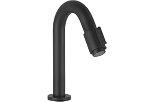 Saqu Essential 2.0 Kaltwasserhahn - 19 cm Hoher Waschtischarmatur - Messing - Mit Rosetten - Matt Schwarz - Waschbecken - Armatur - Für Gäste WC