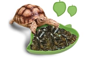 ZLXFT Reptilien Wasserschale,2 Stück Futterschale,Blatt Reptilien Futter Wasser Schüssel,Trinkschale,Zubehör für Schlange,Schildkröte,Gecko, Landschildkröte,Reptilien Schildkröte Futternapf