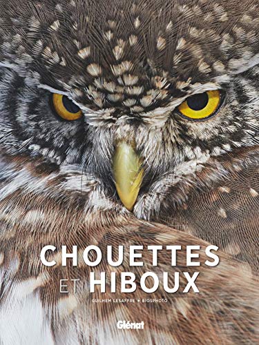 Télécharger Chouettes et hiboux livre En ligne