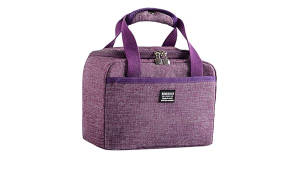 Bearbelly Sac Isotherme Repas Sac Glaciere A Dejeuner Portable Pour Bebe Biberon Travail Pique Nique Lunch Box Tissu Oxford 24 X 14 X 17cm Jardin Glacieres