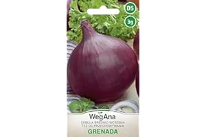 WegAna Semillas de Cebolla Granada 3g Semillas de Cebolla Vegetal Mediana Temprana, Semillas de Hortalizas Robustas, Semillas de Hortalizas, Semillas de Cultivo