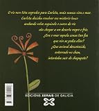 Image de Carlota e a gaivota patiamarela (Infantil E Xuvenil - Merlín - Merliño)