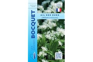 Sachet de graines d'Ail Des Ours - Allium Ursinum - 0,50g - Les Graines Bocquet