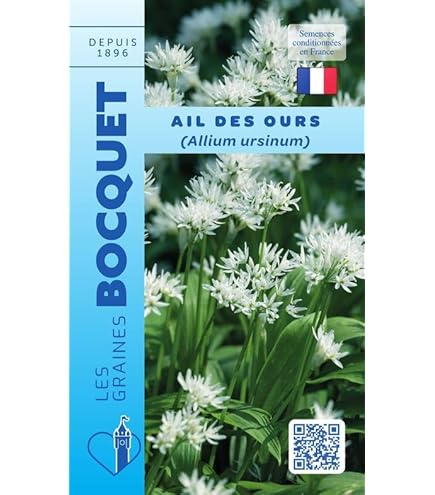 Sachet De Echalion Zébrune - Type Cuisse De Poulet - 1 G - Légume