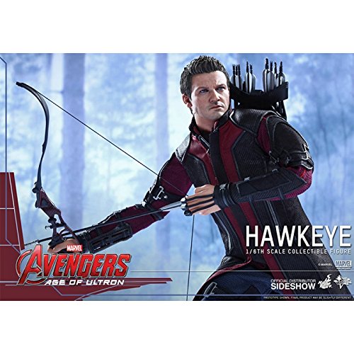 Hot Toys 1:6 Scale Avengers Age of Ultron Hawkeye Figure