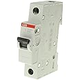 ABB SH201-B10 Miniature Circuit Breaker, 1 Pole, 10 Amp (ABB2CDS211001R0105)