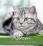 Katzen, Postkartenkalender 2013 by 