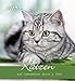 Katzen, Postkartenkalender 2013 by 