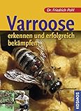 Image de Varroose: erkennen und erfolgreich bekämpfen