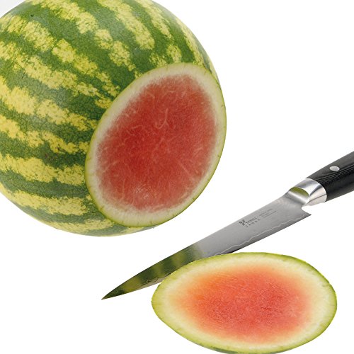 Westmark Melonenteiler, 29,7 x 21,5 x 3,6 cm, Rostfreier Edelstahl/Kunststoff, Jumbo, Weiß/Orange, 51602270 - 3