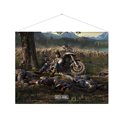 Preisvergleich Produktbild Days Gone "Cover Art" Wallscroll