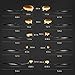 Make up Brushes,LiSmile 10 Pieces Oval Make up Brushes Set (Foundation,Concealer,Eye Shadow,Blending,Eyebrow,Contour,Blusher,Eye Liner,Lip),Professional Cosmetic Tools Soft Toothbrush Style Makeup Brushes Kit with Stunning Giftbox Packaged