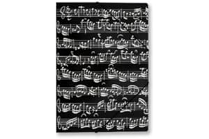 VIENNA WORLD GMBH BRIGITTE PESCHEL GUMMISPANNMAPPE NOTENZEILE - arrangiert für Musiker-Zubehör: Notenmappe / Orchestermappe mit Gummispanner Außenmotiv Noten [Noten / Sheetmusic]