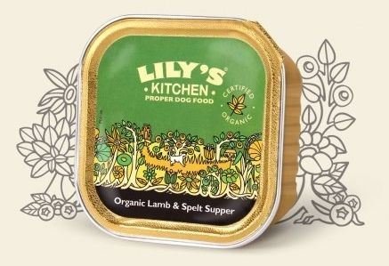 ParentT1L-62507-ParentV3