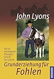 Image de Grunderziehung für Fohlen: Die 20 wichtigsten Übungen Schritt für Schritt