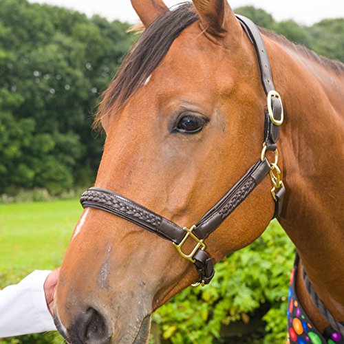 White-Horse-Equestrian-Quanlity-Leather-Braided-Plaited-Halter-All-Colours-Sizes